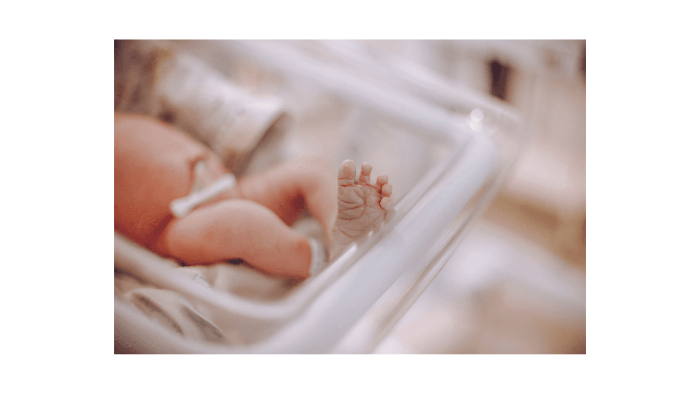 2 Corintios 5.17. Nueva criatura, nuevos comportamientos